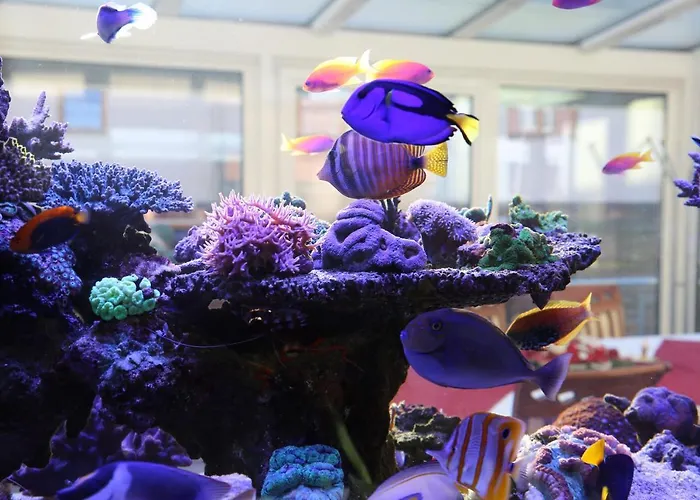 Chau-asiatisches-restaurant Und Casa de hóspedes 3*